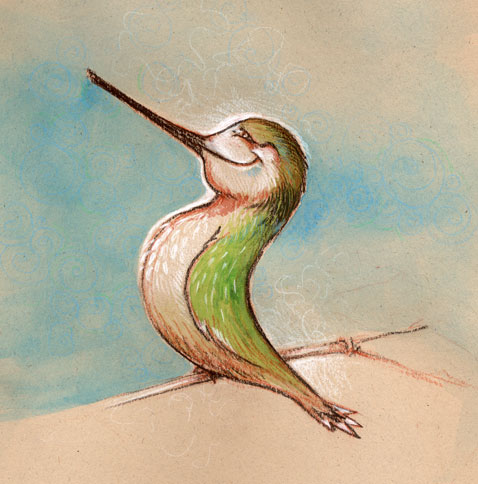 hummingbird