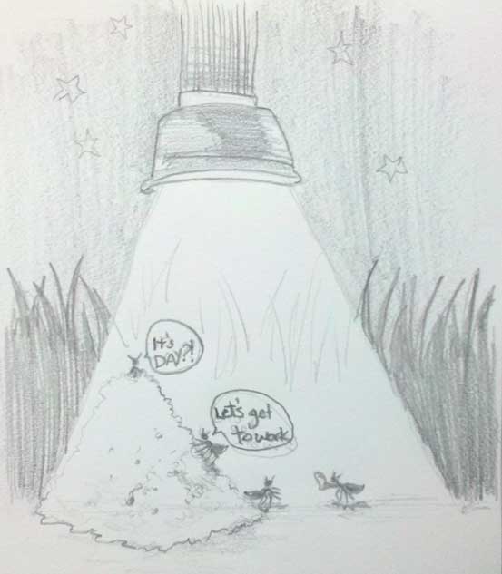 HusbandsChoice3 HusbandsChoice3