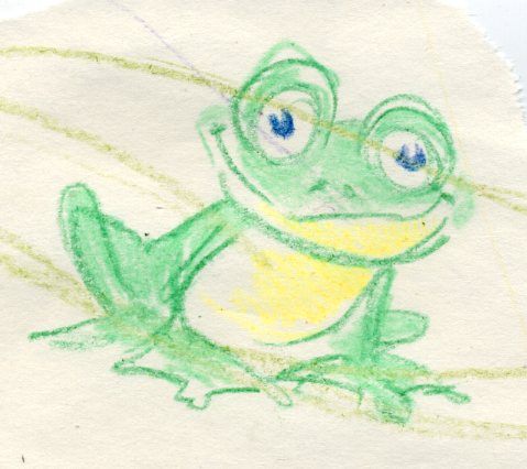 frog-paper001