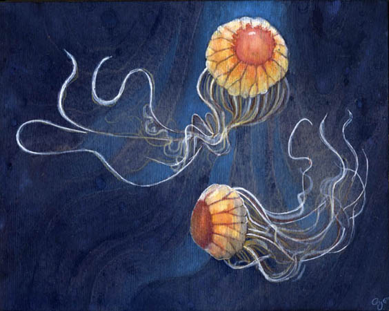 jellyfish-Painting