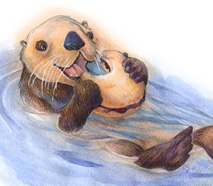 otter-biscuit-CaseyGirard