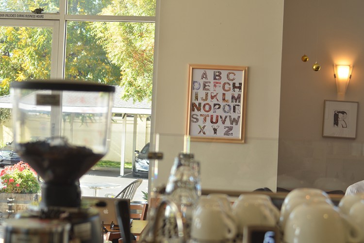 AnimalsInAlphabet-CaseyG