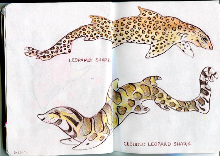 SP2015-CaseyGirard-6