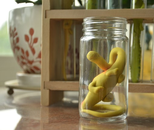 diplodaucus-specimen