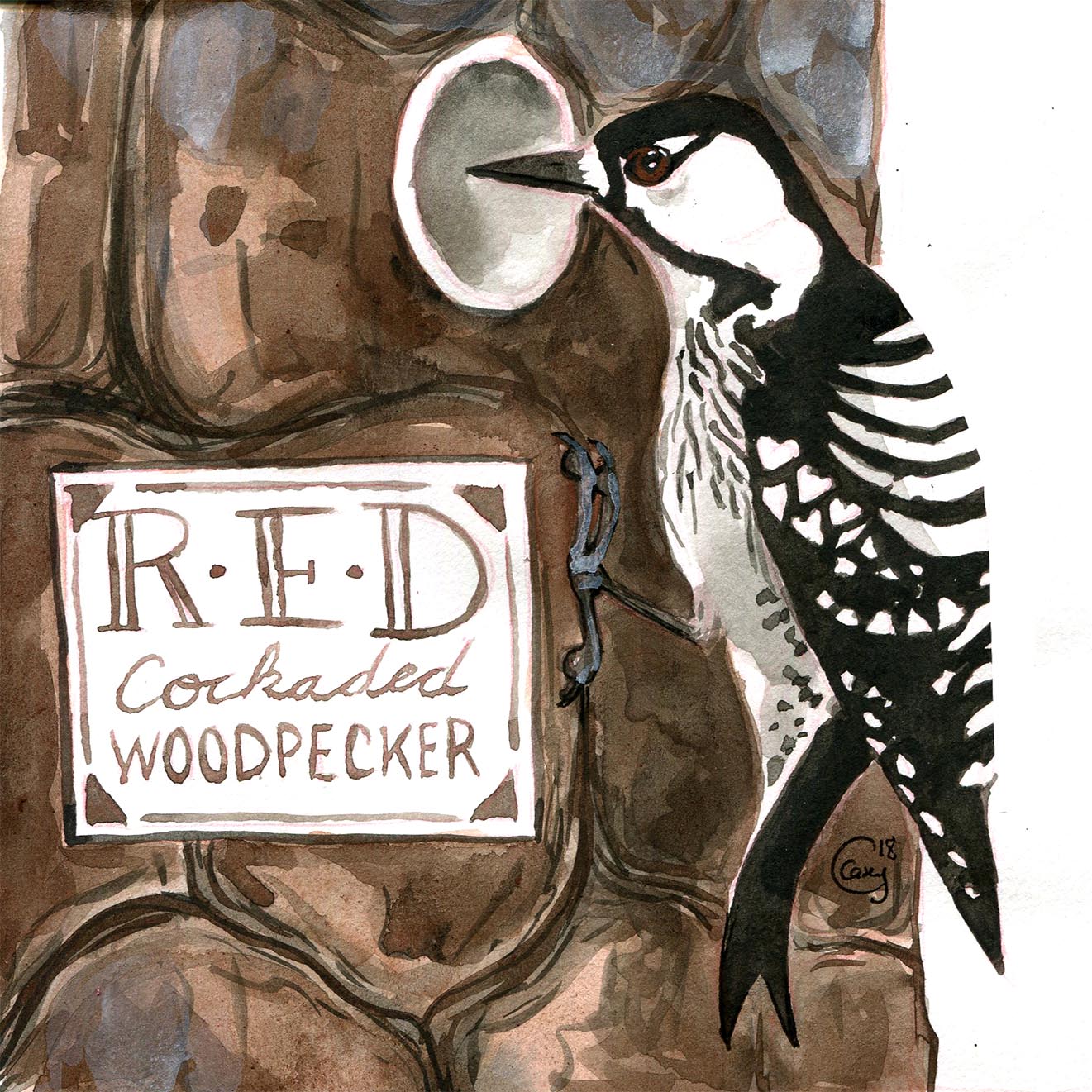 30RCWoodpecker-caseygirard