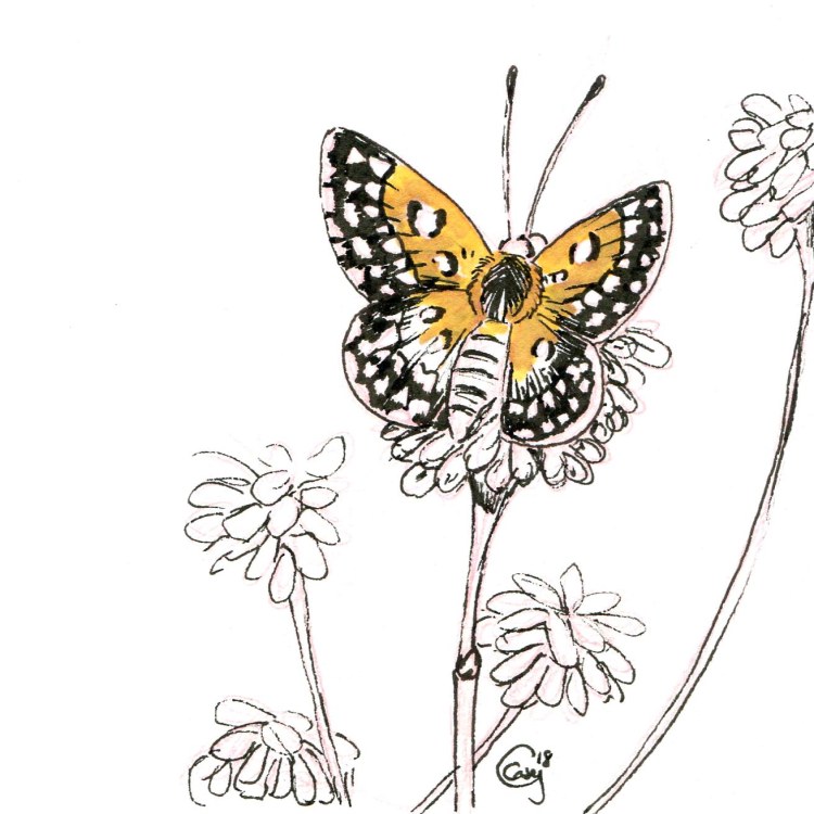 langesmetalmark-caseygirard